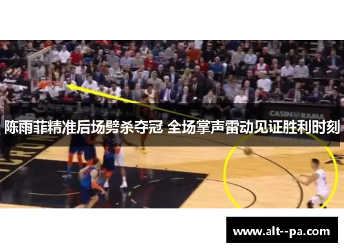 陈雨菲精准后场劈杀夺冠 全场掌声雷动见证胜利时刻